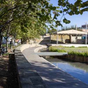 Park with trees and theater