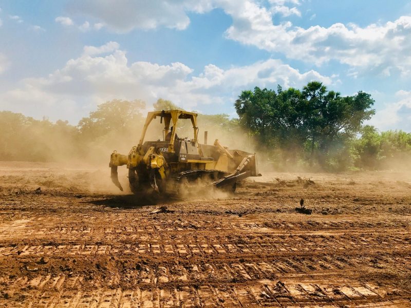 How Trees Are Damaged by Nearby Construction