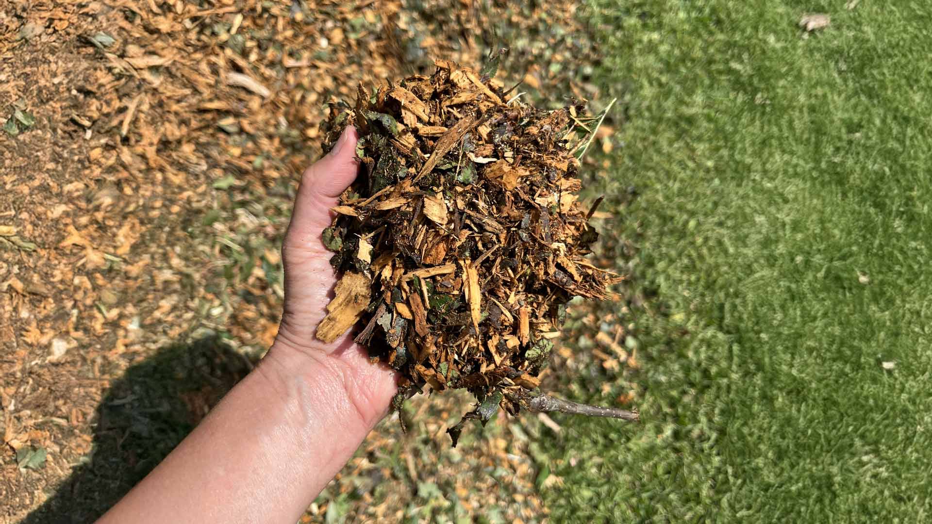 Native Mulch in Lake Dallas for Better Soil & Healthier Trees