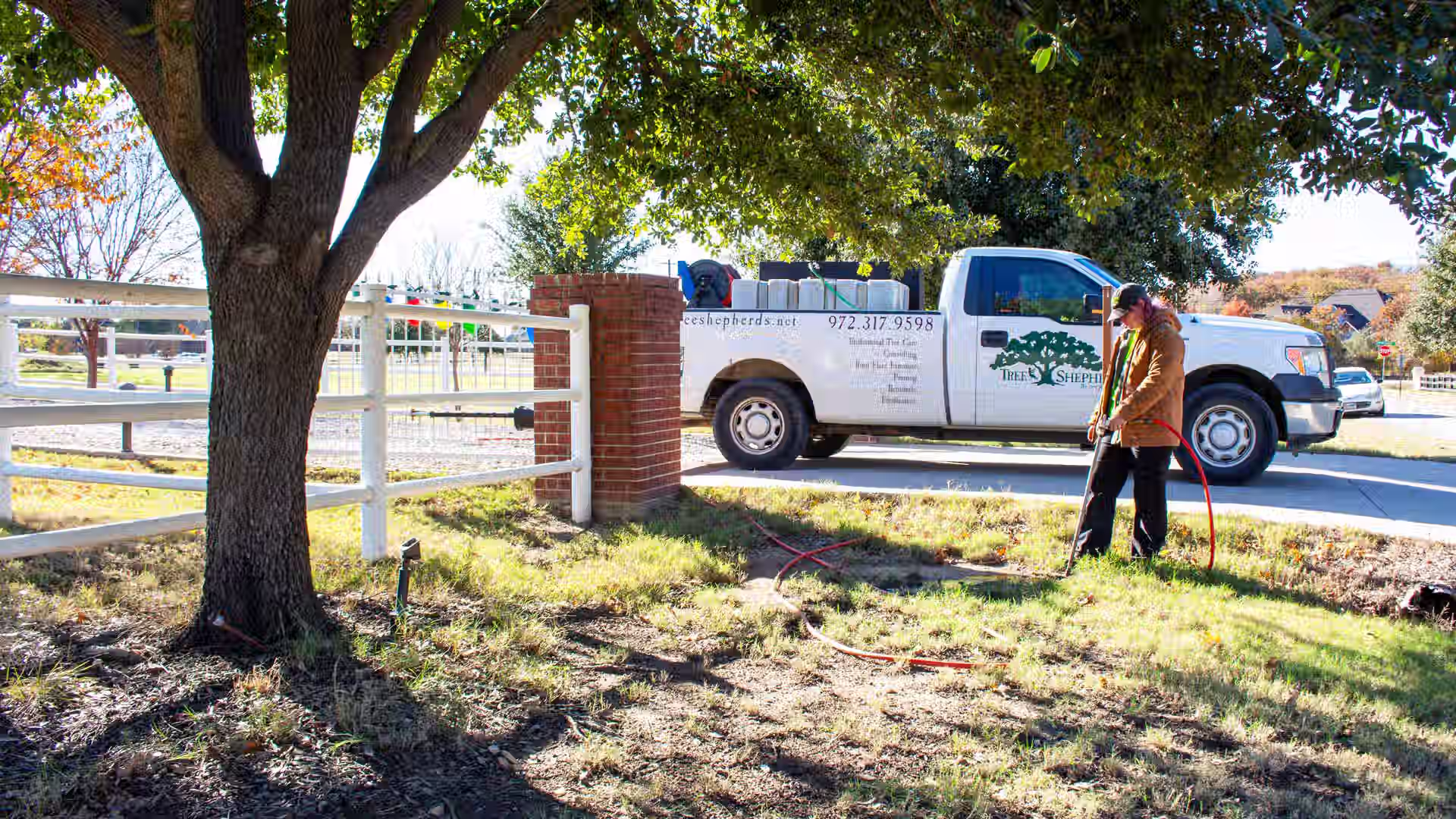 Arborist applying fertilization to tree roots