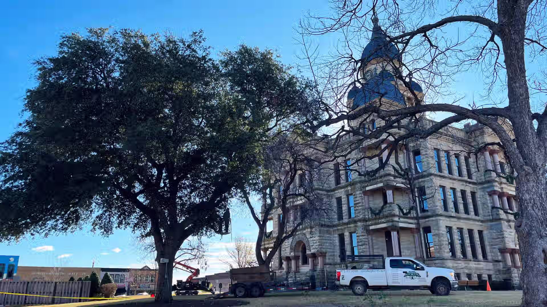 Denton square with Tree Shepherds truck