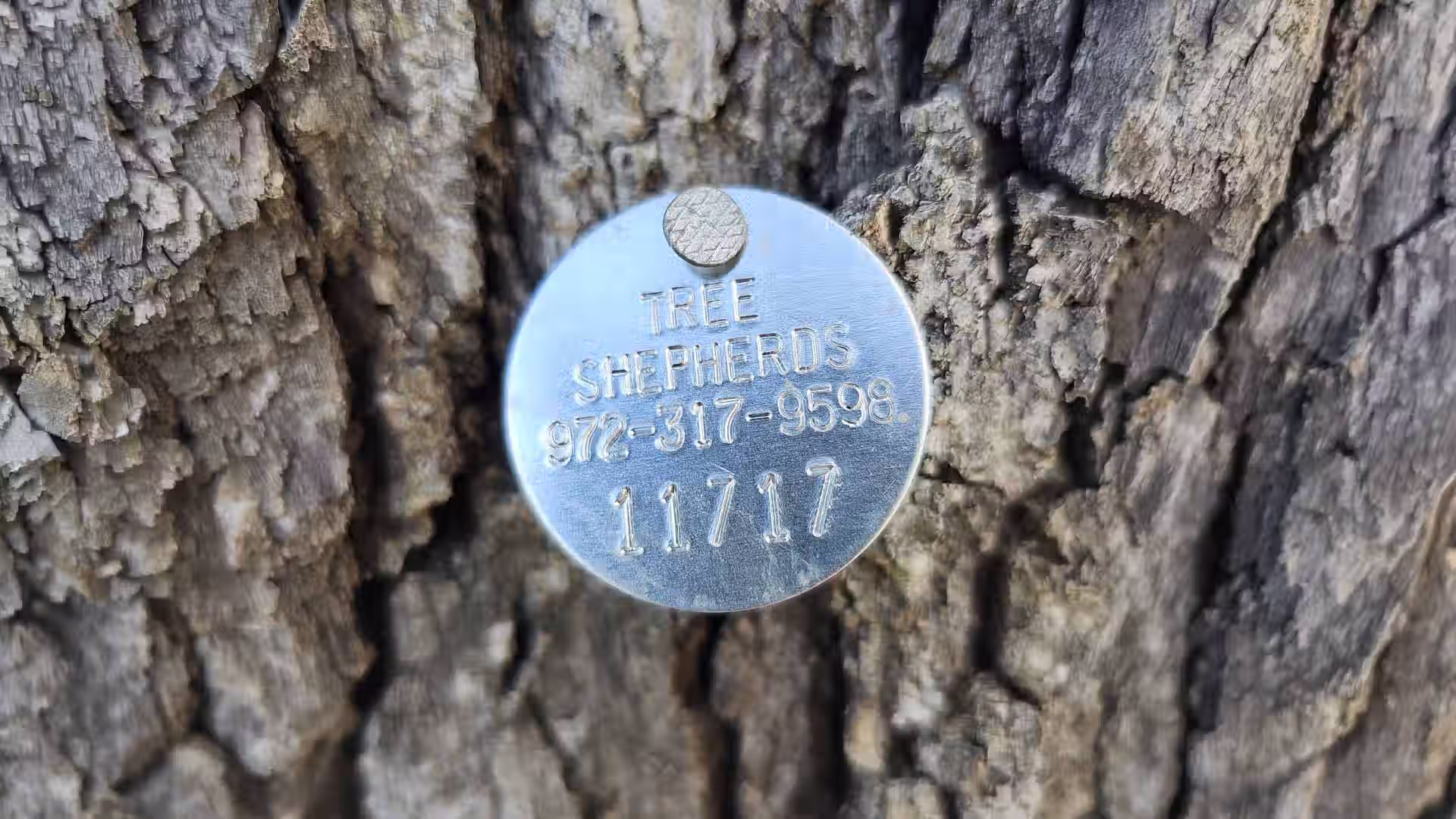 Tree Shepherds tree survey tag
